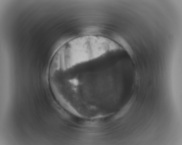 X0000113281386200910051032