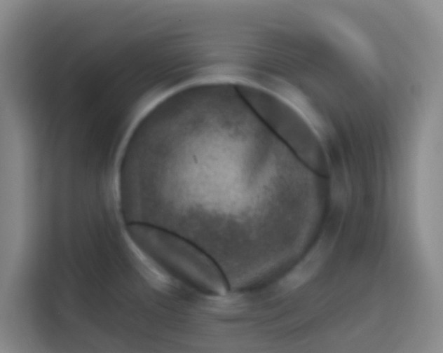 X0000113281388200910051032