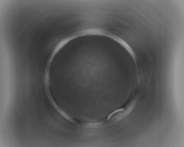 X0000113281389200910051032