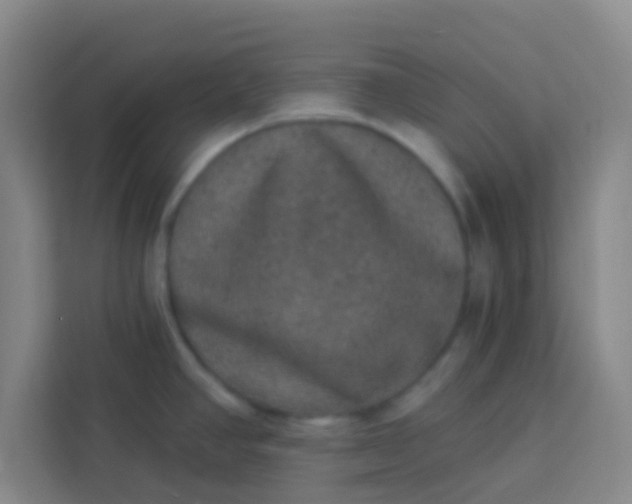 X0000113281390200910051032