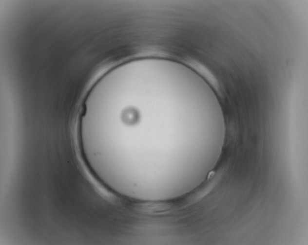 X0000113281391200910051032