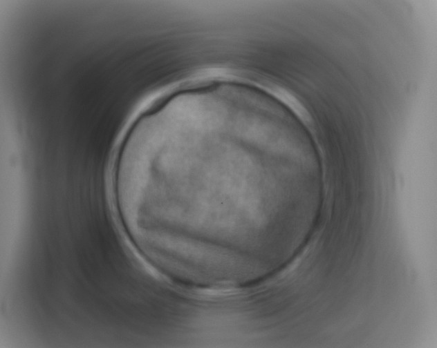 X0000113281392200910051031