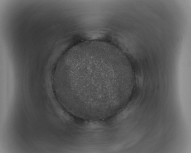 X0000113281393200910051031