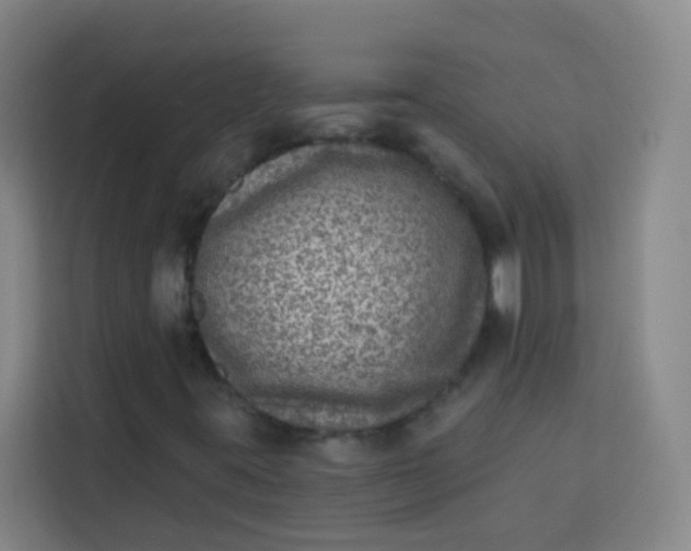 X0000113281395200910051031