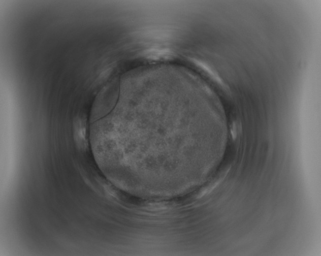 X0000113281396200910051031