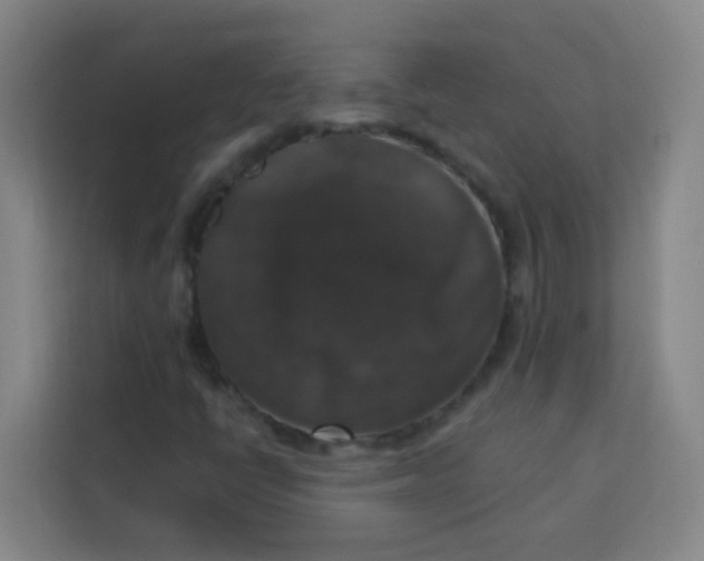 X0000113281398200910051031