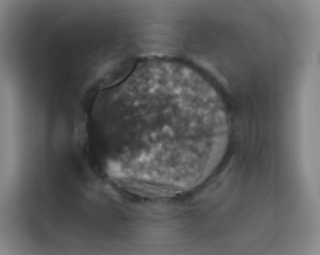 X0000113281399200910051031