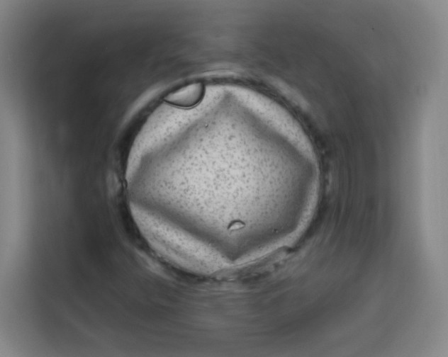 X0000113281400200910051031