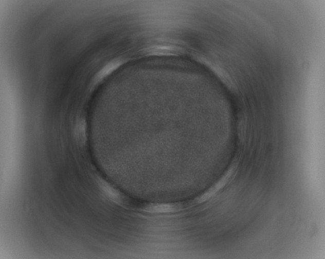 X0000113281402200910051031