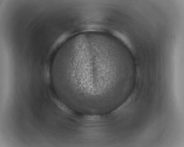 X0000113281403200910051031