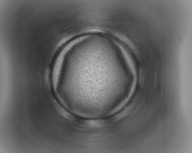 X0000113281404200910051031