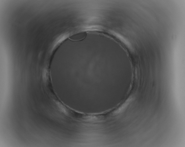 X0000113281405200910051031