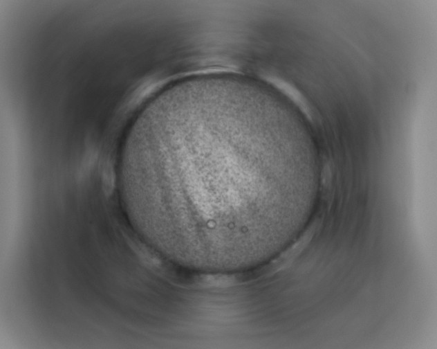 X0000113281407200910051031