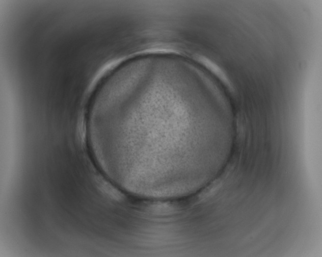 X0000113281408200910051031