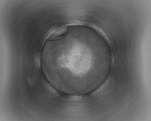 X0000113281409200910051031