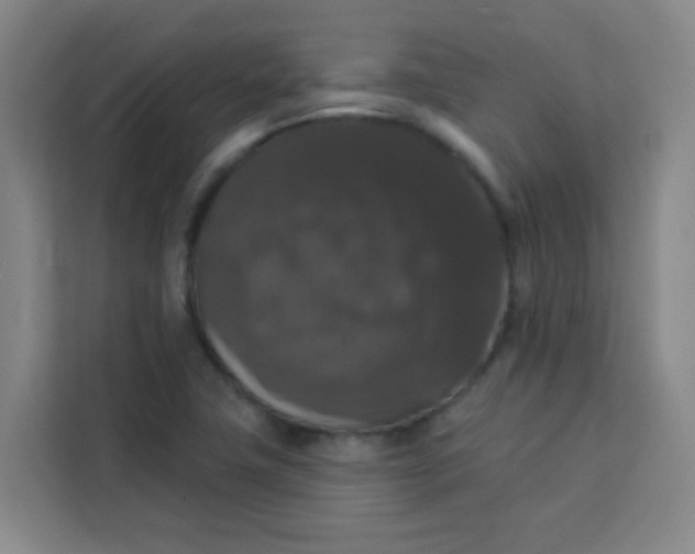 X0000113281411200910051031