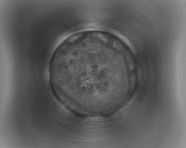 X0000113281415200910051031