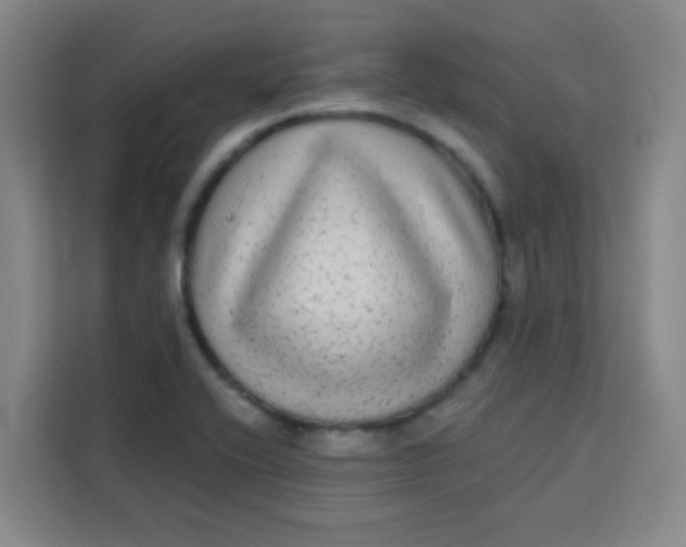 X0000113281416200910051031