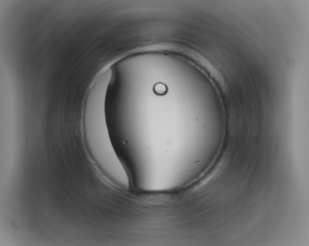 X0000113281417200910051031