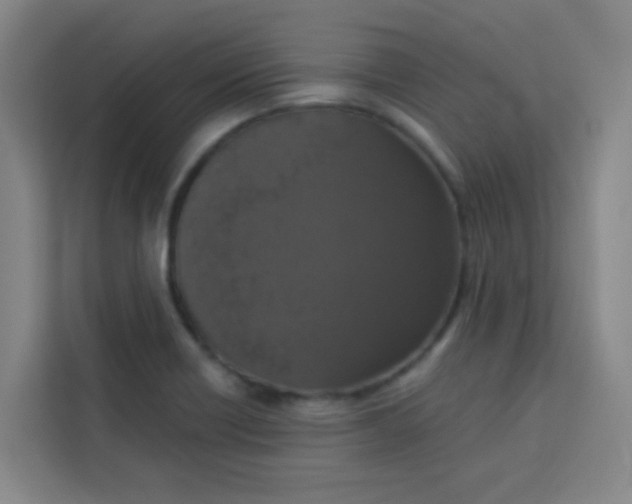 X0000113281418200910051031