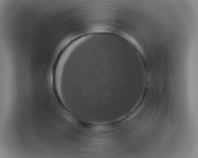 X0000113281419200910051031