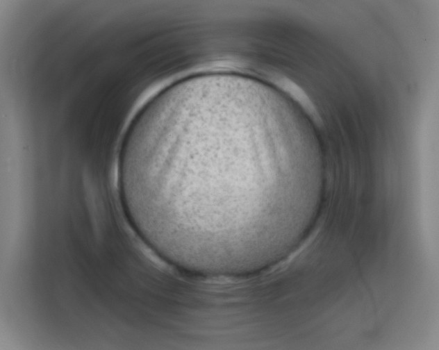 X0000113281420200910051031