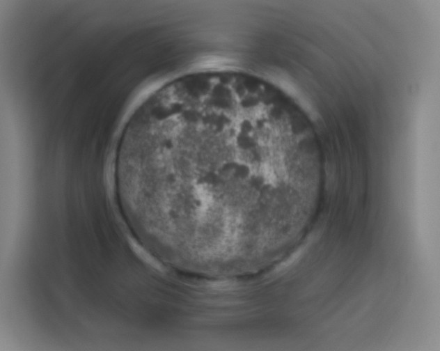 X0000113281421200910051031