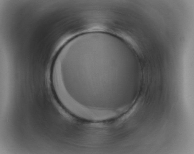 X0000113281422200910051031