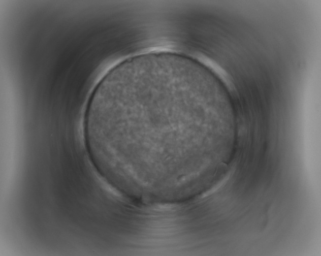 X0000113281423200910051031