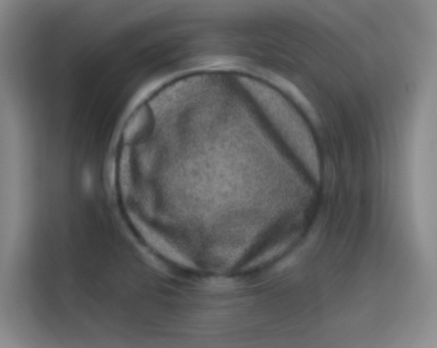 X0000113281424200910051031