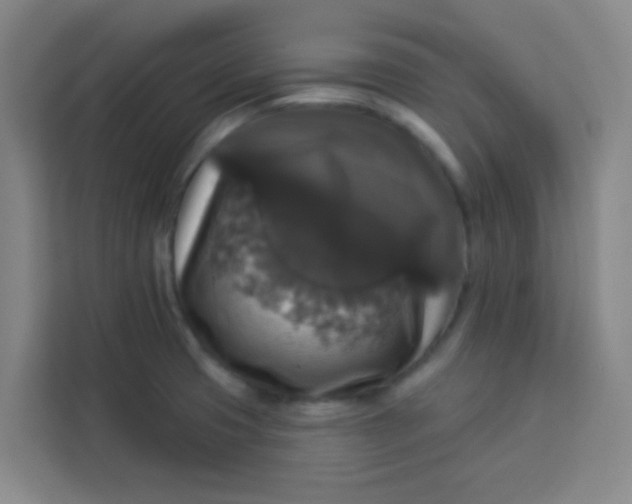 X0000113281425200910051031