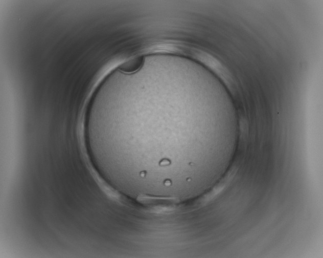 X0000113281426200910051031