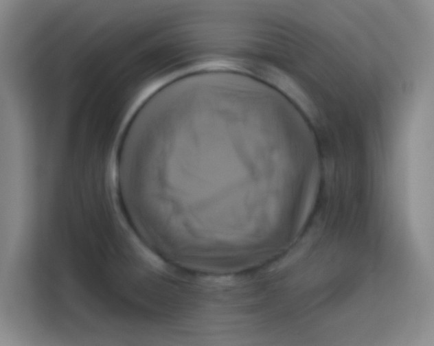 X0000113281428200910051031