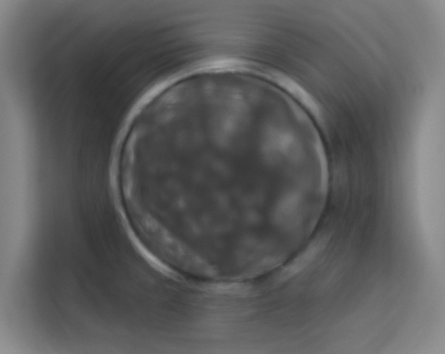 X0000113281429200910051031