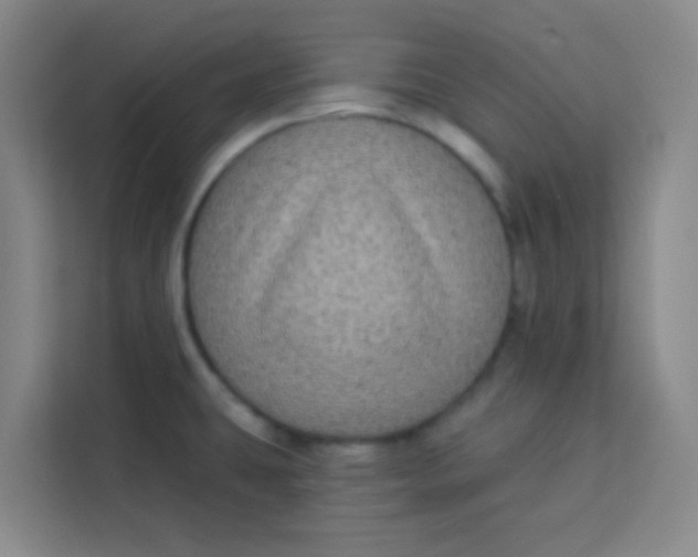 X0000113281431200910051031