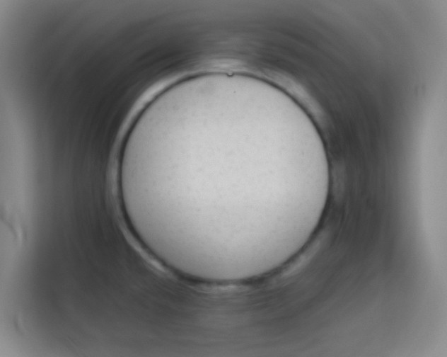 X0000113281432200910051031