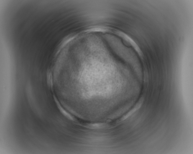 X0000113281433200910051031