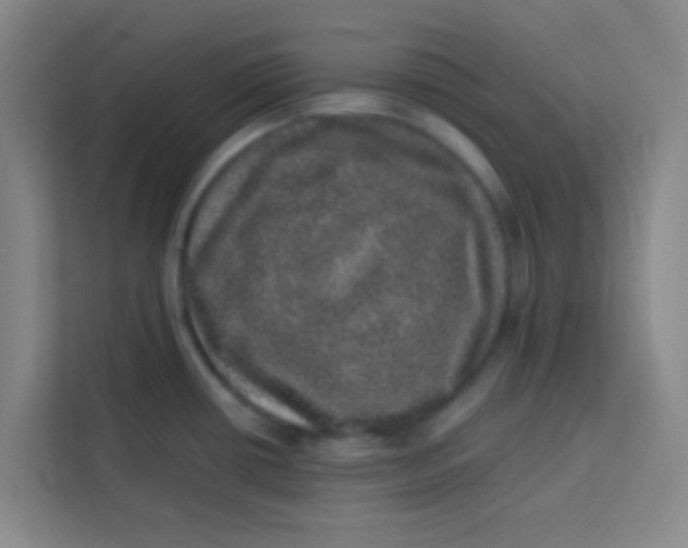 X0000113281434200910051031