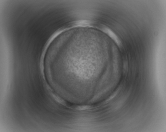 X0000113281435200910051031