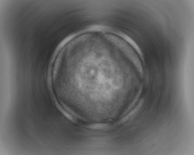 X0000113281437200910051031