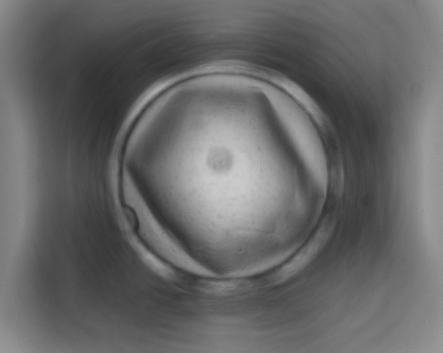 X0000113281438200910051031