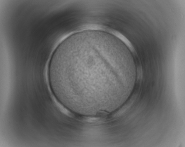 X0000113281439200910051031