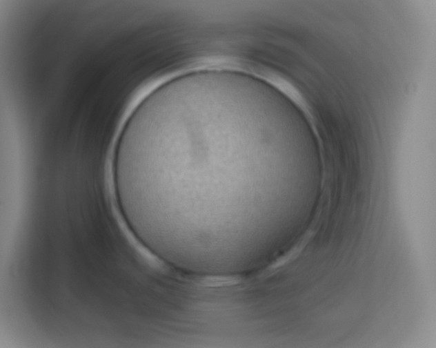 X0000113281440200910051031