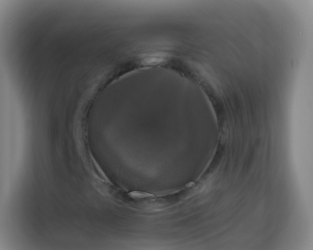 X0000113281441200910051031