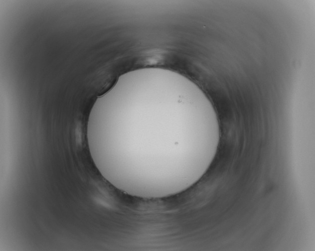 X0000113281442200910051031