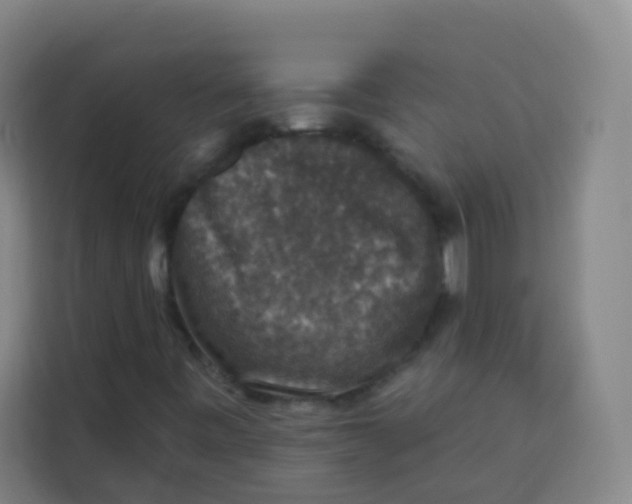 X0000113281443200910051031