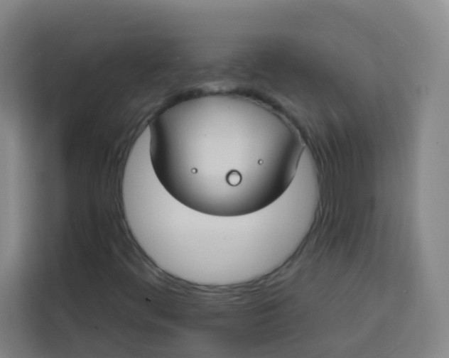 X0000113281444200910051031