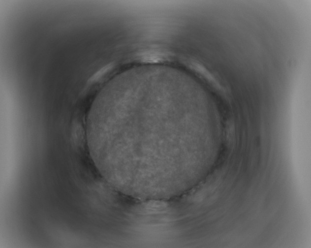 X0000113281446200910051031