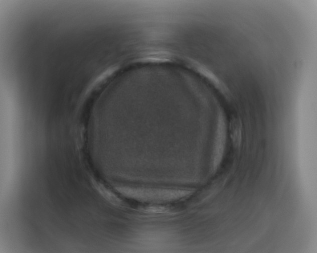 X0000113281448200910051031