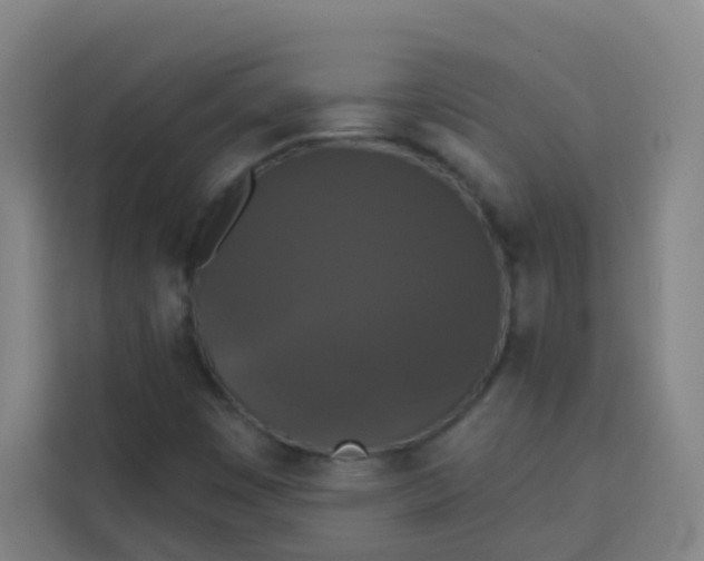 X0000113281449200910051031